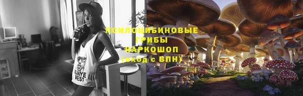 кокс Белокуриха