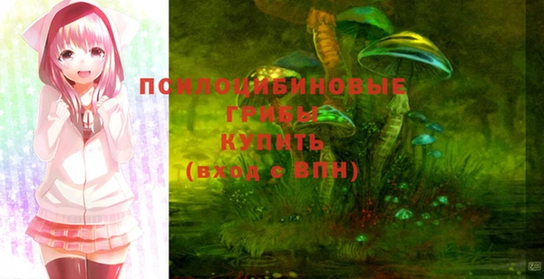 кокс Белокуриха