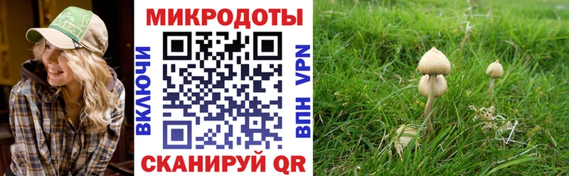 hydra ONION  Куровское  Галлюциногенные грибы мицелий 